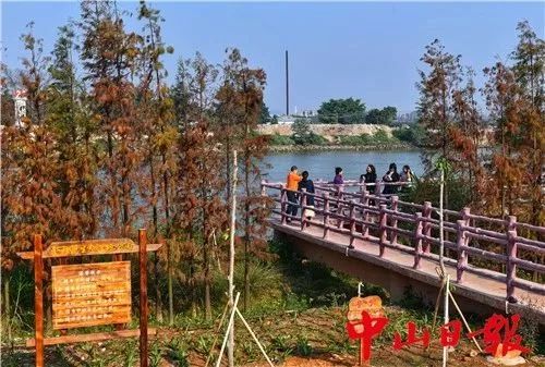 中山十大免费公园,中山最美的免费公园