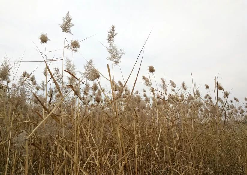 北京60岁旅游免费景点,北京爬山免费景点推荐