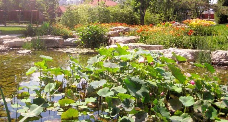 北京好玩免费的景点排名榜,北京周边免费景点自驾游