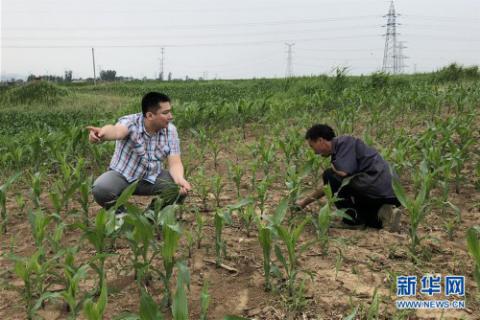 滚石上山迎难而上,滚石上山的关键阶段