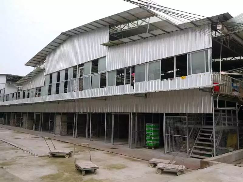 家庭养殖肉鸽的收益,发展肉鸽养殖项目助推残疾人致富