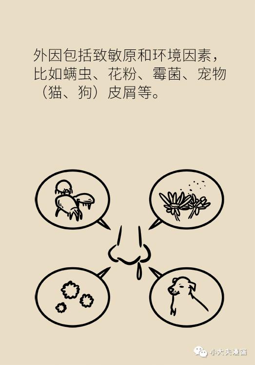 鼻炎人的困扰,科普鼻炎怎么调理的