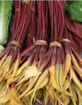 春天吃花要注意！吃错会中毒，头晕恶心呕吐，每年都有人中招