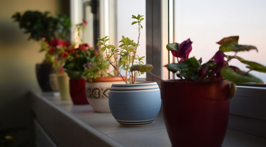 人生三福吃得下睡得着笑得开,人生三福吃得下