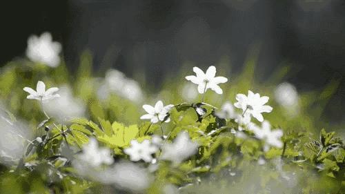 情商高的人都有这6个特点,情商高的人在工作中的特点