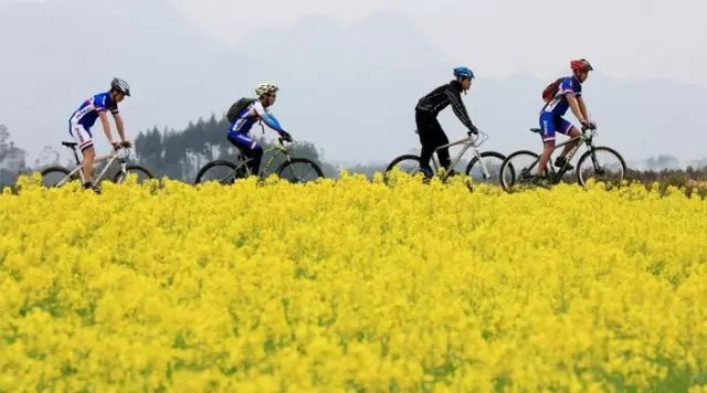 这几条骑行路线美到爆，赣州的小伙伴们一起去春游吧！