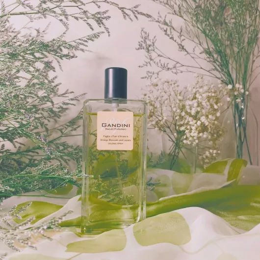 适合新手小白入手的香水,四款一闻就惊艳的香水推荐