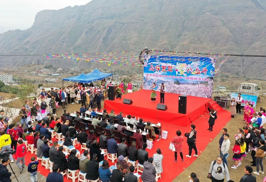 发耳镇樱桃花航拍视频出炉！敢不敢来行一场飞花令？开始！