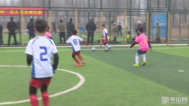 迎春杯室内五人制足球赛,第五届草根五人制足球比赛