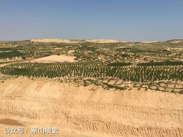 谁是最有智慧的人,中国最早智人距今多少年