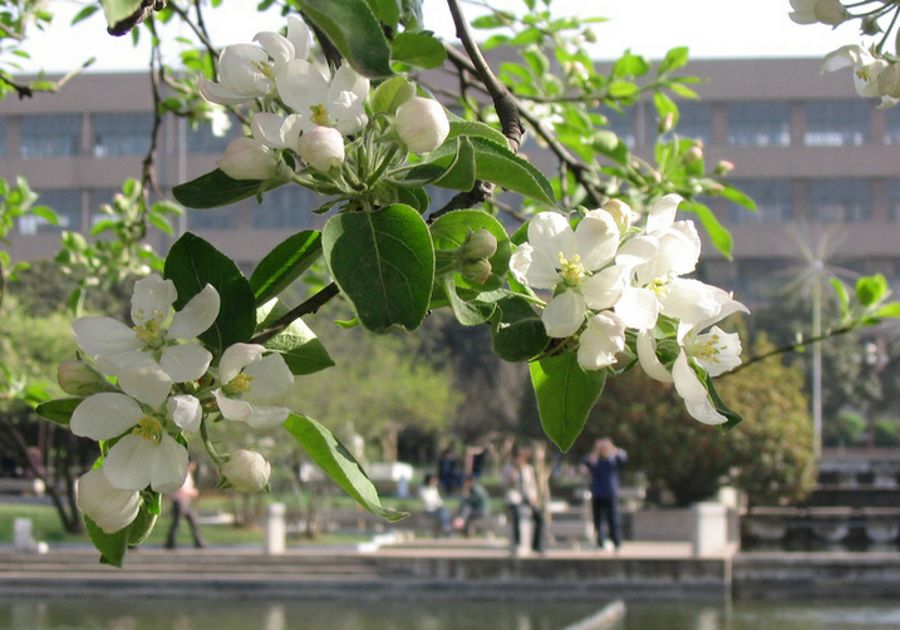 浼戦棽椹跨珯,浼戦棽椹跨珯2015