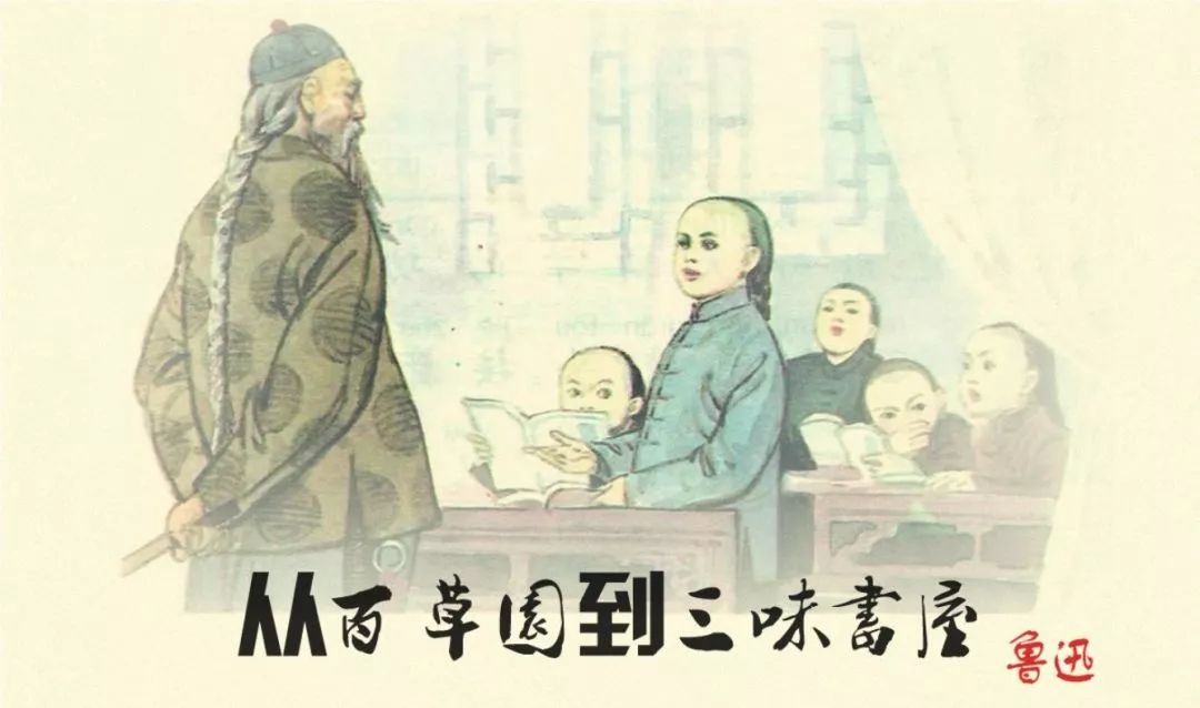 朝花夕拾中考必考的内容,朝花夕拾中考语文必考知识点