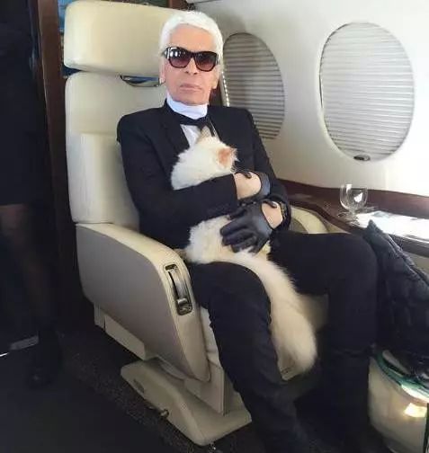 老佛爷的所有家产最后留给了猫 (老佛爷的猫死后谁来继承他的遗产)