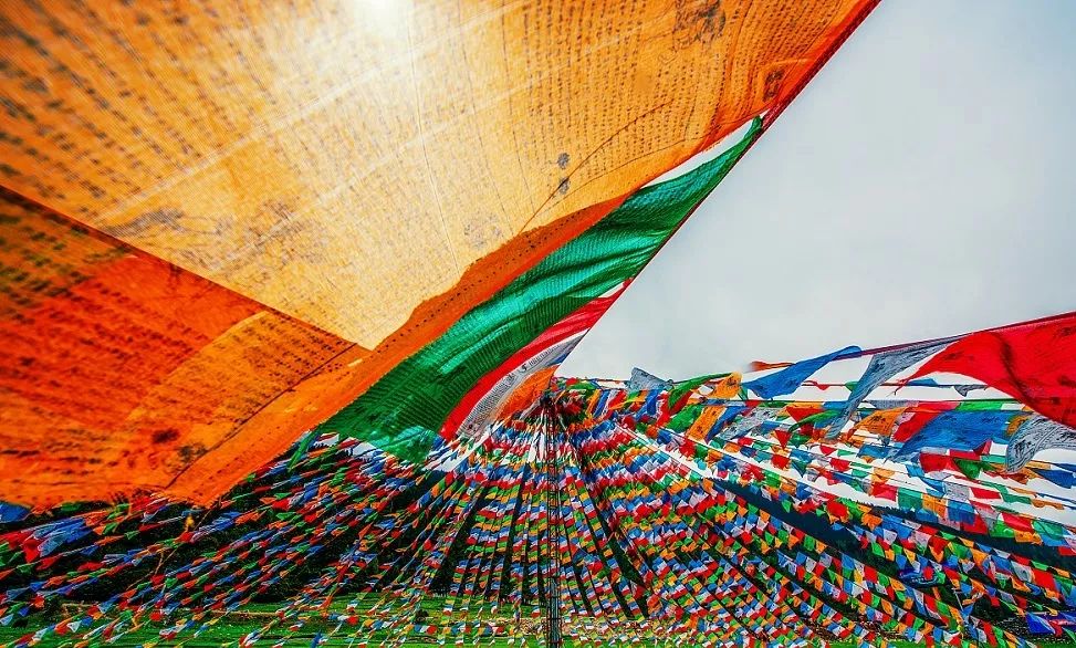 起风了小幸运哪个颜色好看,起风了分享感悟