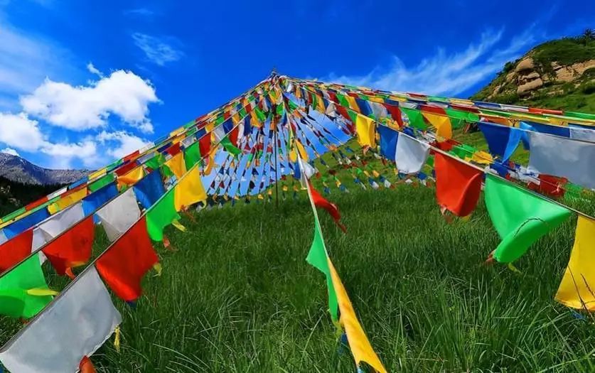 起风了小幸运哪个颜色好看,起风了分享感悟