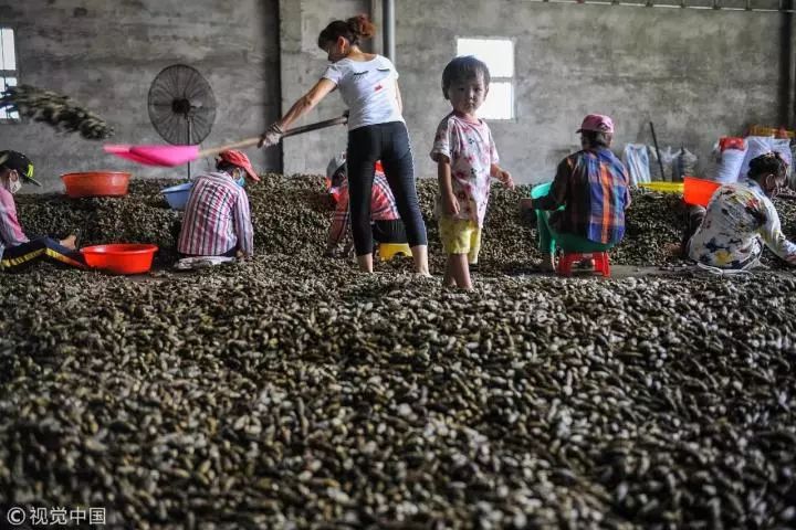 6000万人上瘾，这种比*品毒**更可怕的食物，中国人从小就吃！