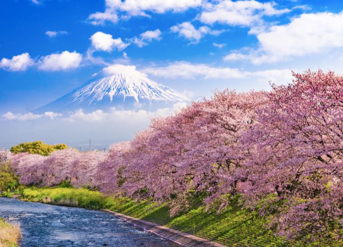 2019年日本樱花季日程表小众赏樱攻略！