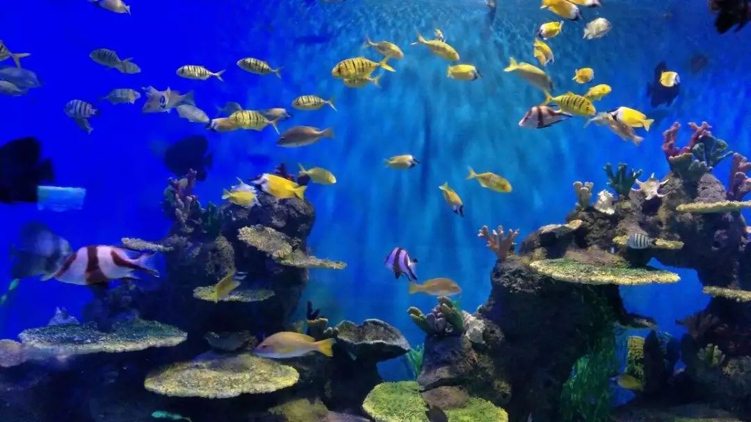 【潮玩】走啊，一起出去“浪里个浪儿~~~”