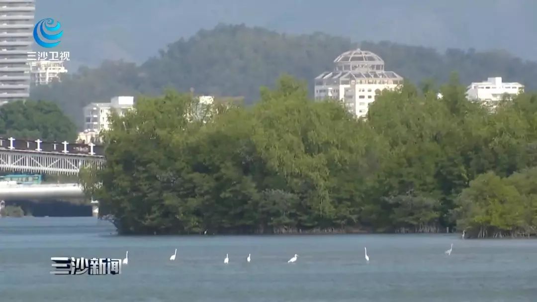 天涯印象创作的原声,天涯印象的主页