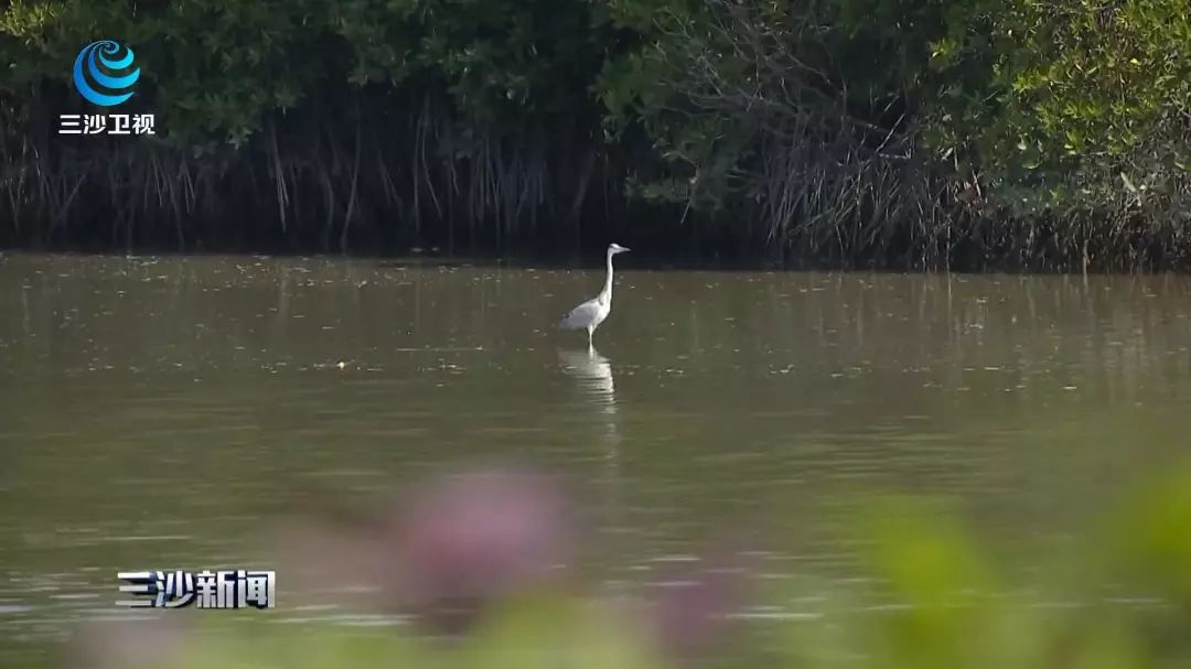 天涯印象创作的原声,天涯印象的主页