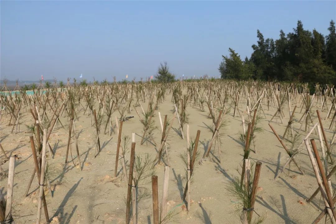 防城港山心沙岛和山新沙滩,广西防城港山心沙