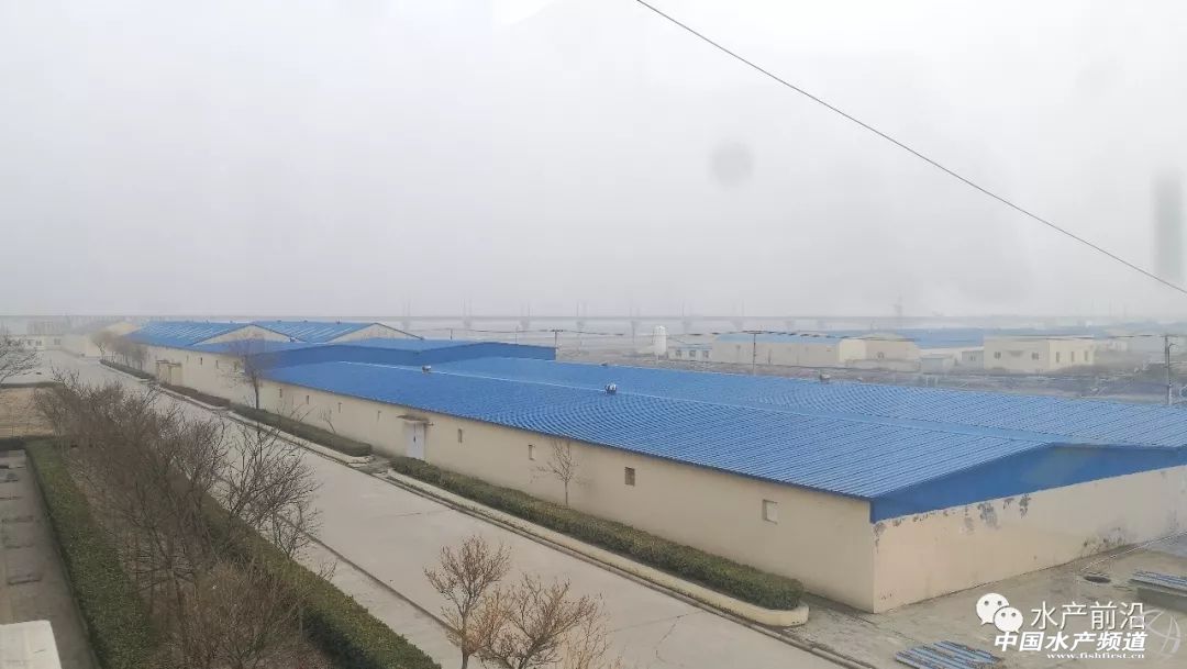 养南美白对虾培训基地,南美白对虾养殖培训基地