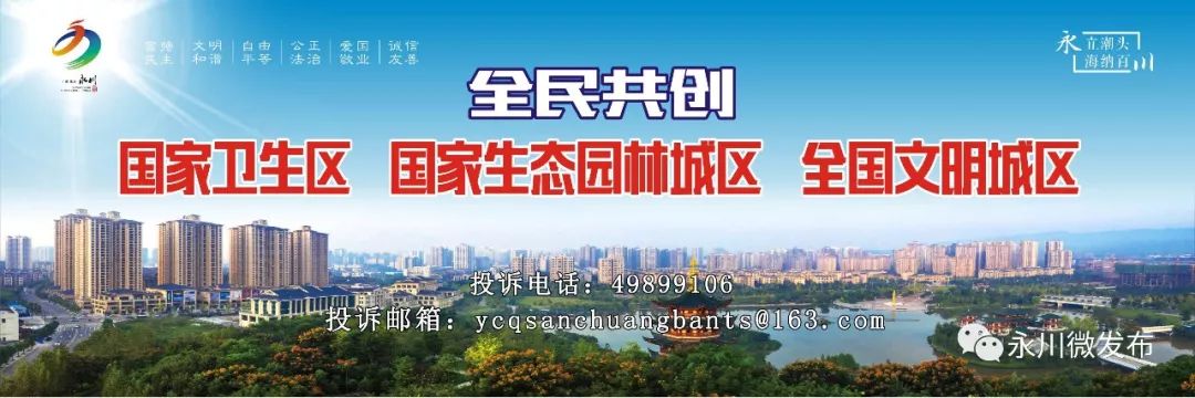 国务院表扬永川,国家对永川定位