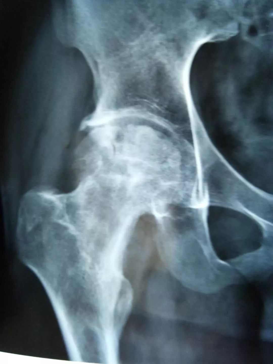 扁圣中医馆怎么样,扁圣中医馆济南