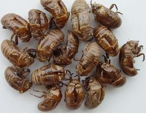 扁圣中医馆怎么样济南,扁圣中医馆在哪里