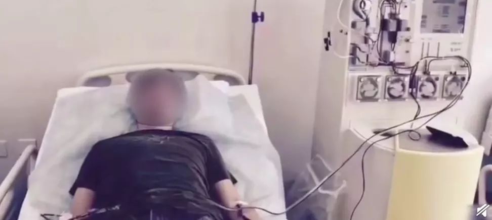 跟着明星吃胶原蛋白,跟着明星吃一天体重会有什么变化