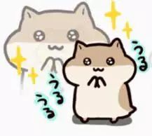 港女有话说|“细蓉”是啥？网友严选经典三大港味云吞面