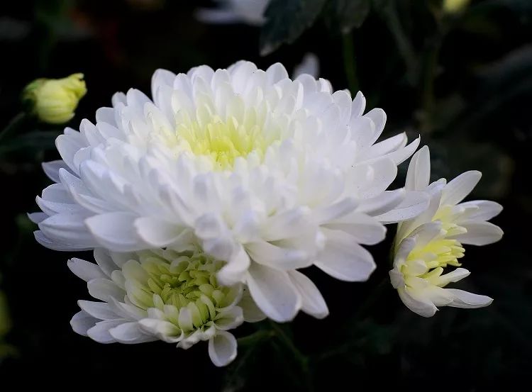 庆云95岁老党员,去世老党员感人事迹