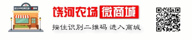饶河农场幼儿园,饶河向阳幼儿园