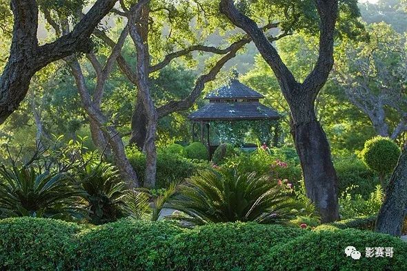 尼康历代获奖摄影作品欣赏,国际风光摄影师大赛