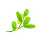 走！一起去拍片！常州市2019“我们的节日”微视频大赛征集作品啦！