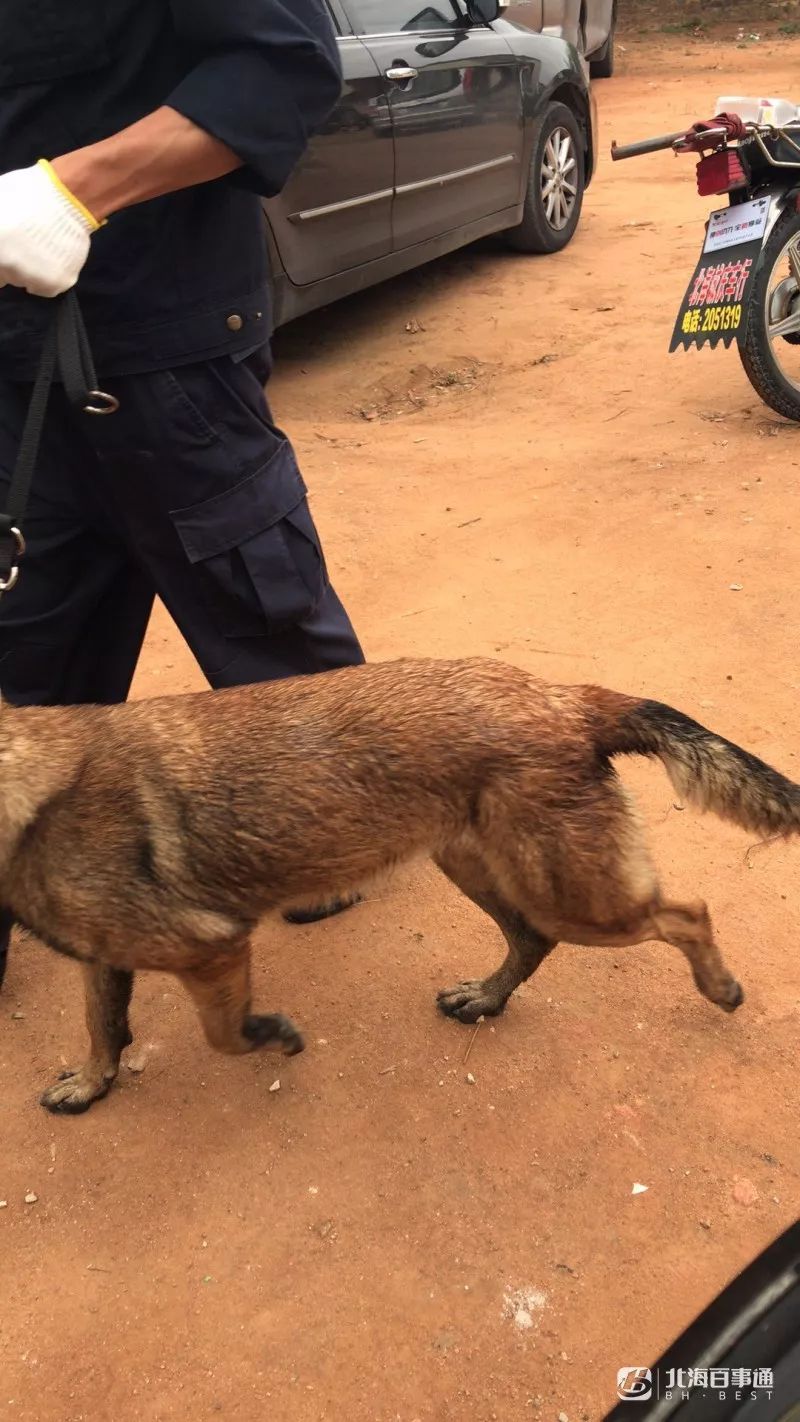 北海2岁男童走失家人情况,北海失踪儿童小杰最新进展