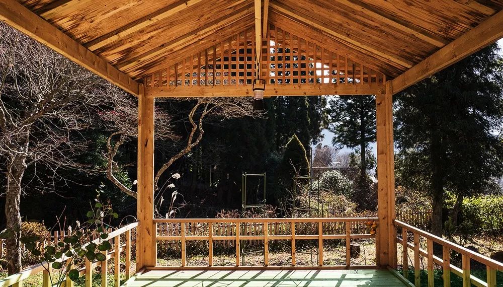 九州福冈樱花,九州樱花季旅游