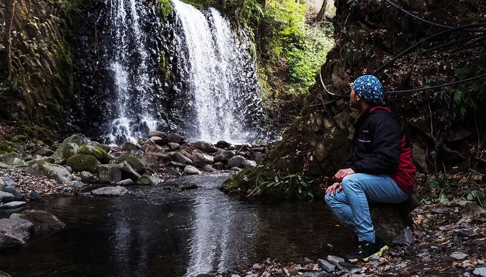 九州福冈樱花,九州樱花季旅游