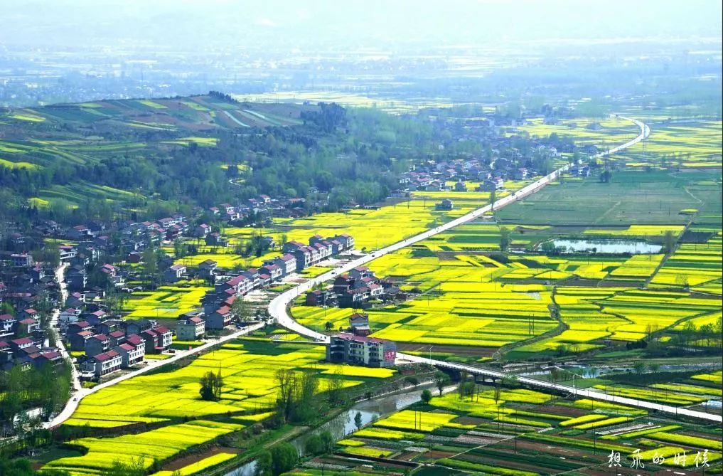 汉中最美油菜花节开幕,汉中油菜花节开幕式视频2020