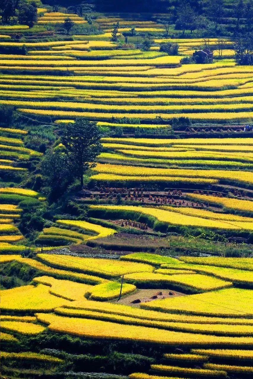 2022年3月机票便宜,三月下旬厦门到成都机票价格