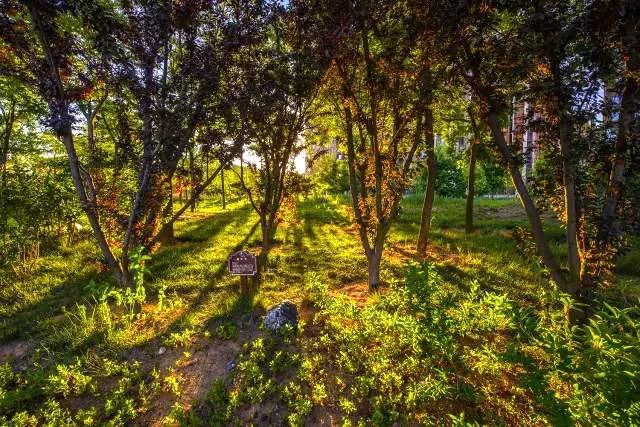 威海荣成精装海景中式合院,和我一起去看房