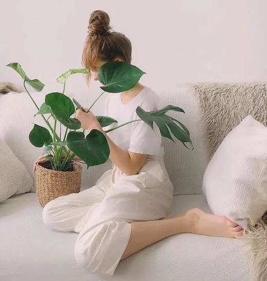 属猪的人到底好不好,属猪的人过得都怎么样呢