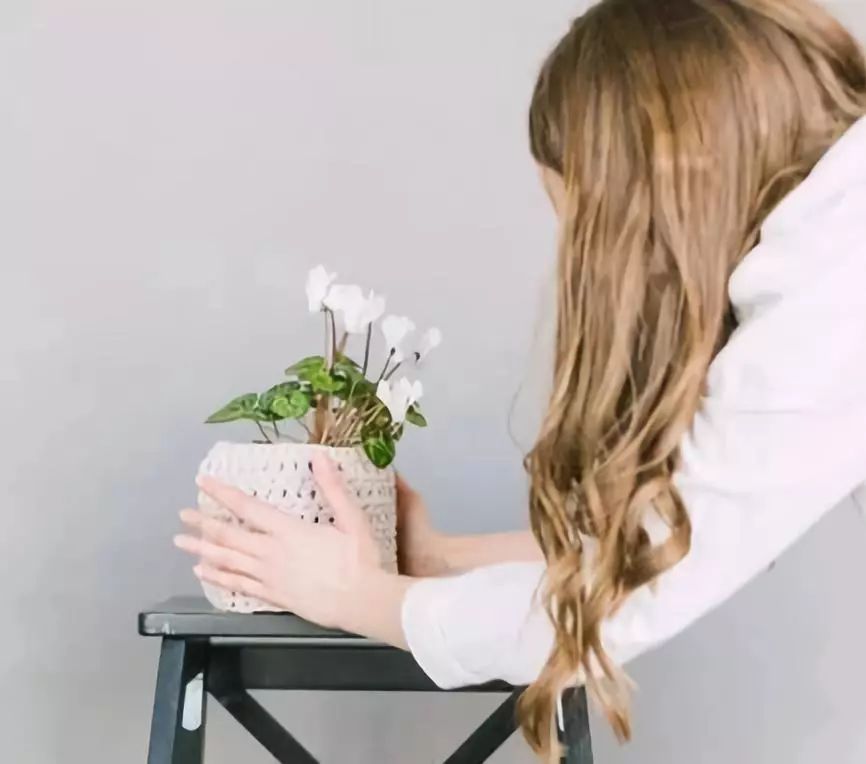 属猪的人到底好不好,属猪的人过得都怎么样呢