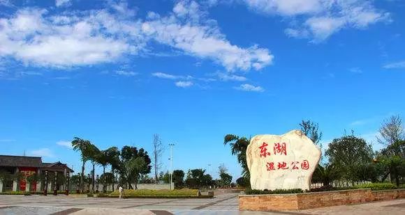 武汉六大湿地公园,百湖之市武汉