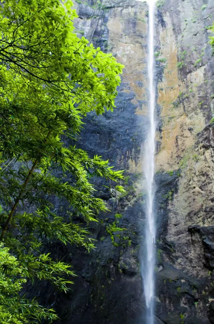 恰逢二月二，抬头见喜！女王节楠溪江免费、优惠信息全在这儿了！