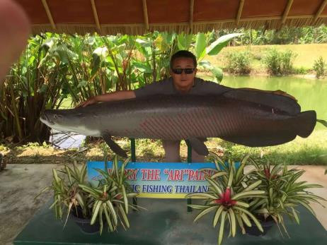 泰国艾克索公园巨物钓场,泰国巨物池钓鱼费用