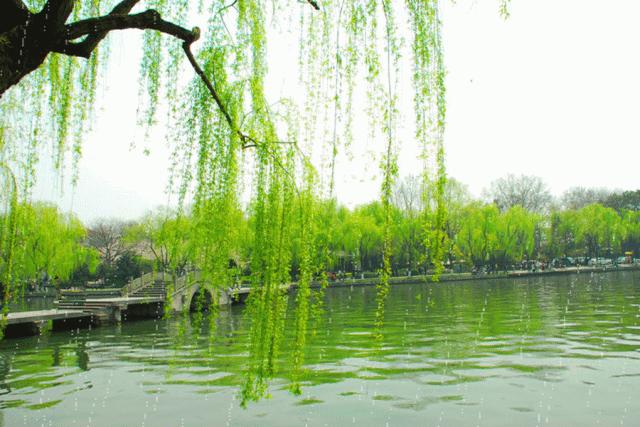 陪孩子一起读古诗词,跟着孩子一起读冰心繁星春水