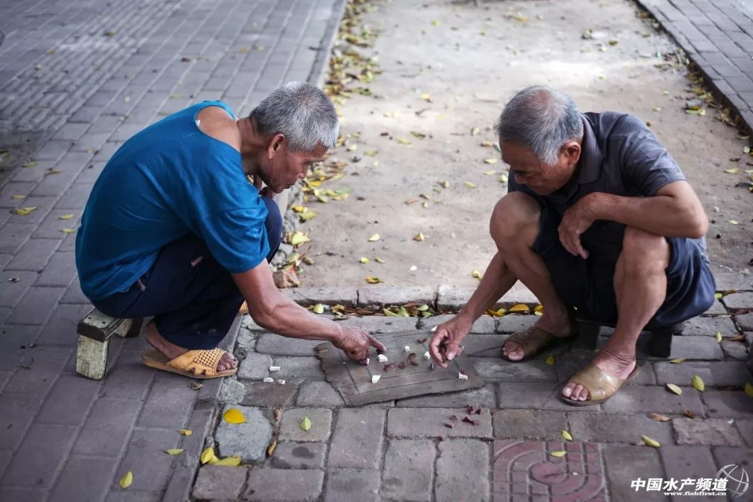 湛江最实惠的海鲜街,湛江草潭镇海鲜攻略