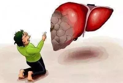 春季养肝食疗方法食谱大全,春季养肝护肝的方法和饮食