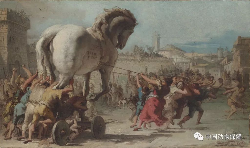 禽流感h5n1疫苗,中国最新禽流感疫苗